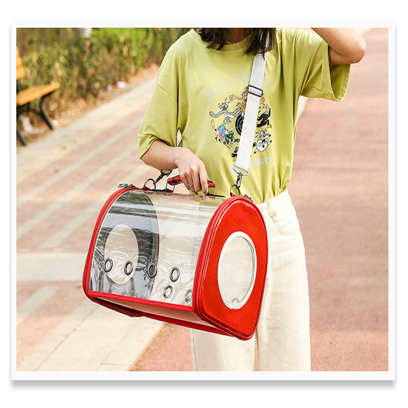 Transparent Pet Carry Bag