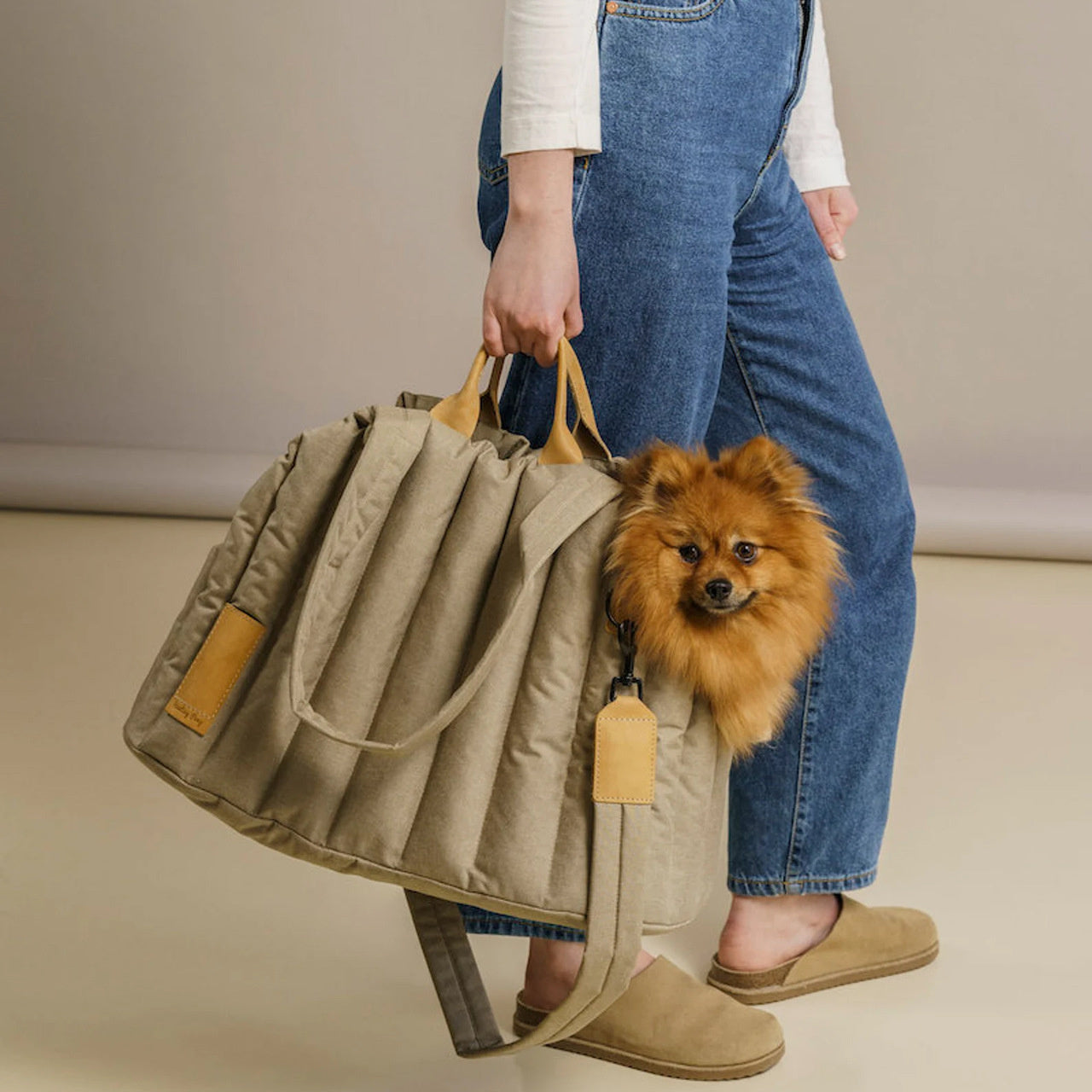 Lightweight Waterproof Pet Carrier Bag