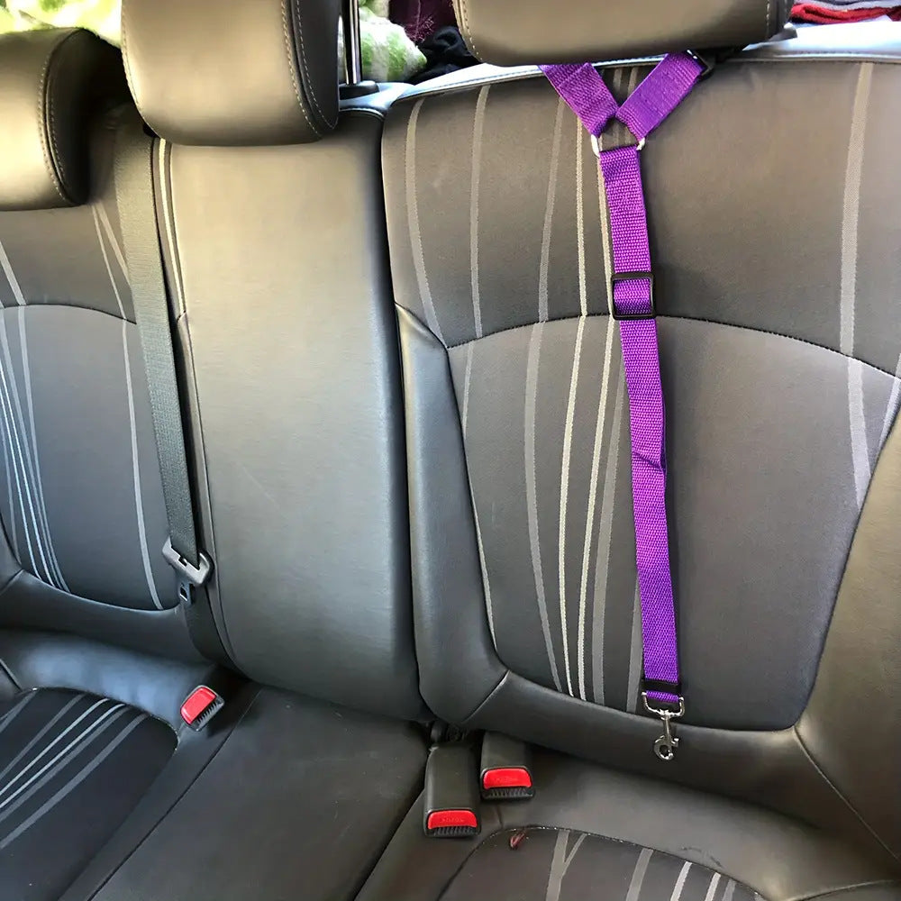 2-in-1 Pet Car Seat Belt & Leash