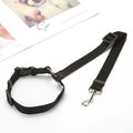 2-in-1 Pet Car Seat Belt & Leash
