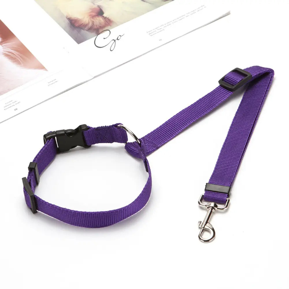 2-in-1 Pet Car Seat Belt & Leash